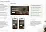 test your website and provide a detailed feedback report